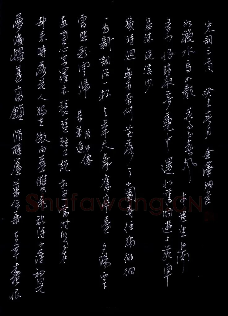 金泽珊硬笔行草宋词三首,金泽珊硬笔书法作品