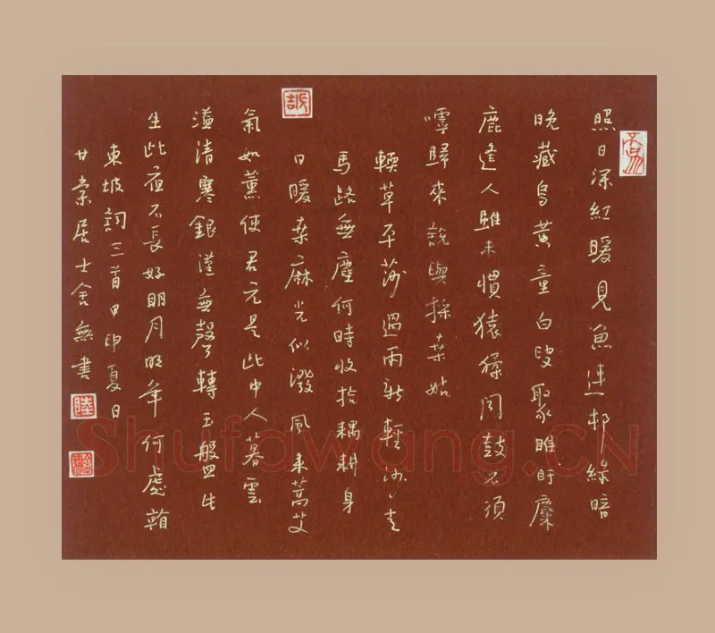 陆舍无硬笔行书东坡词三首,陆舍无硬笔书法作品