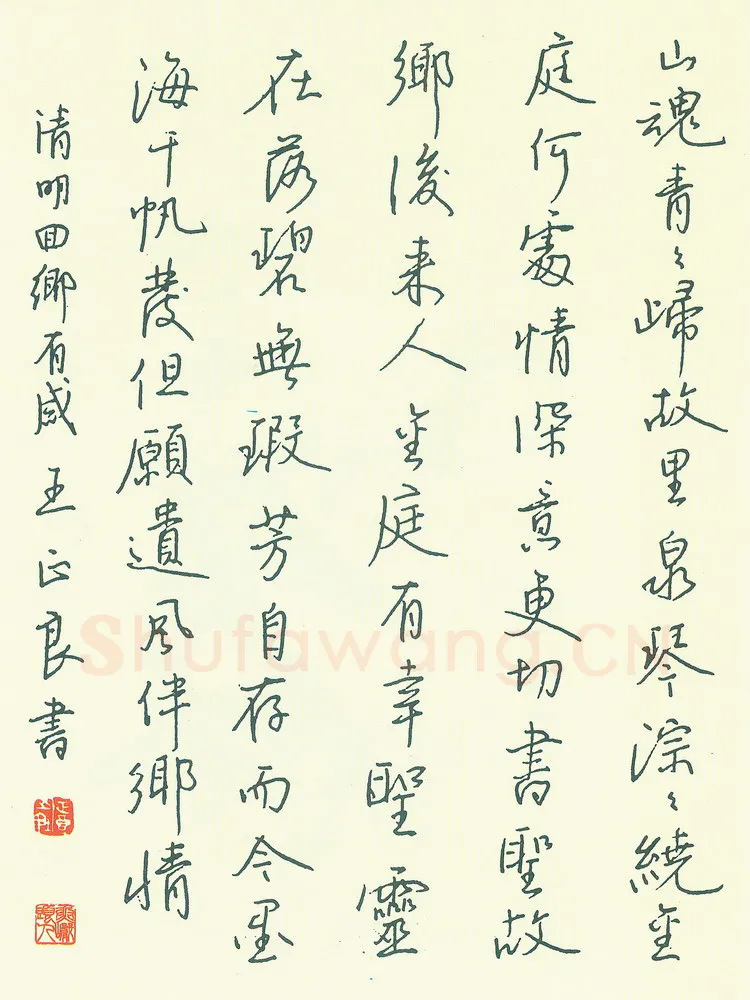 王正良硬笔行书清明回乡有感,王正良硬笔书法作品