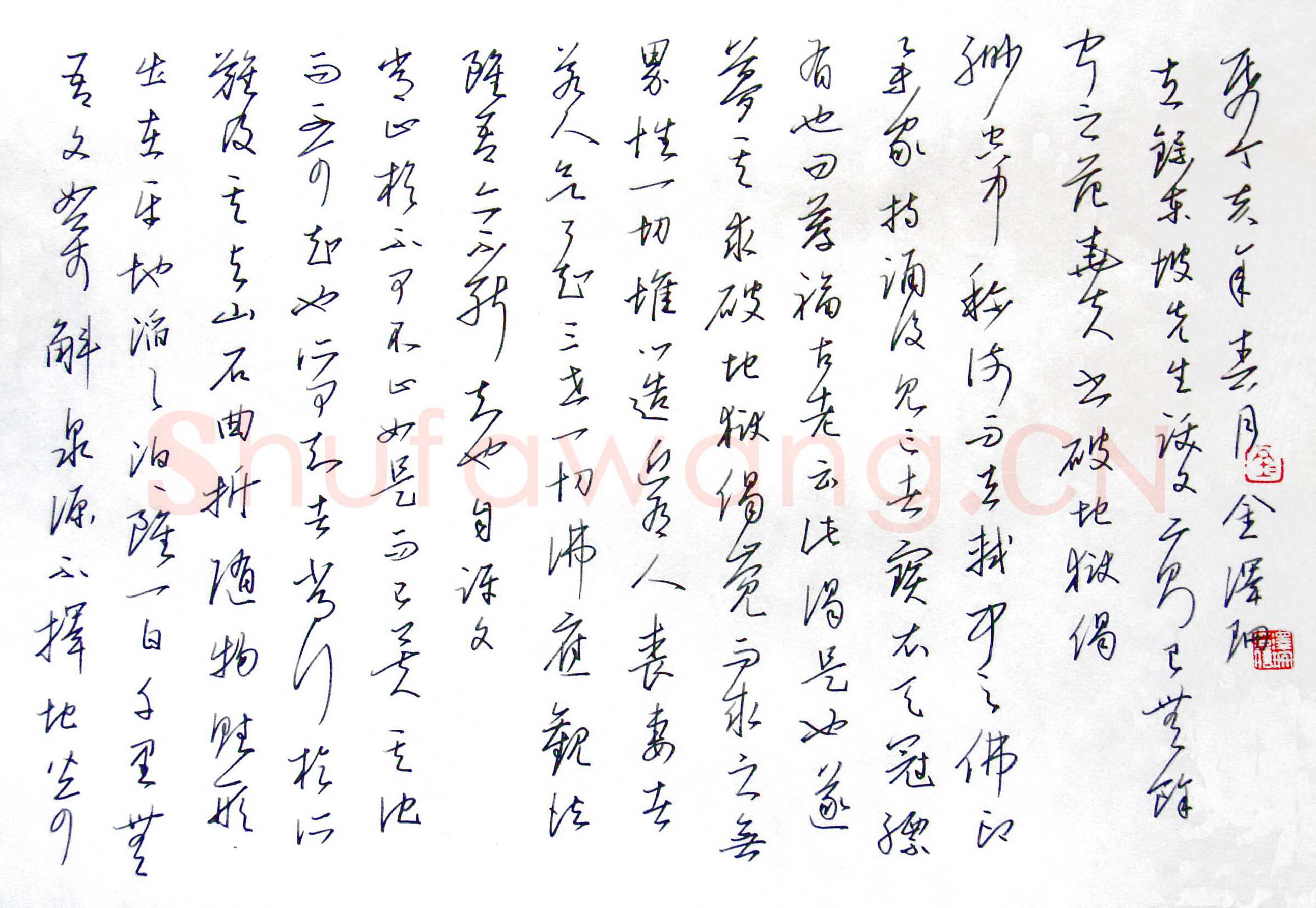金泽珊硬笔行草东坡跋文二则,金泽珊硬笔书法作品