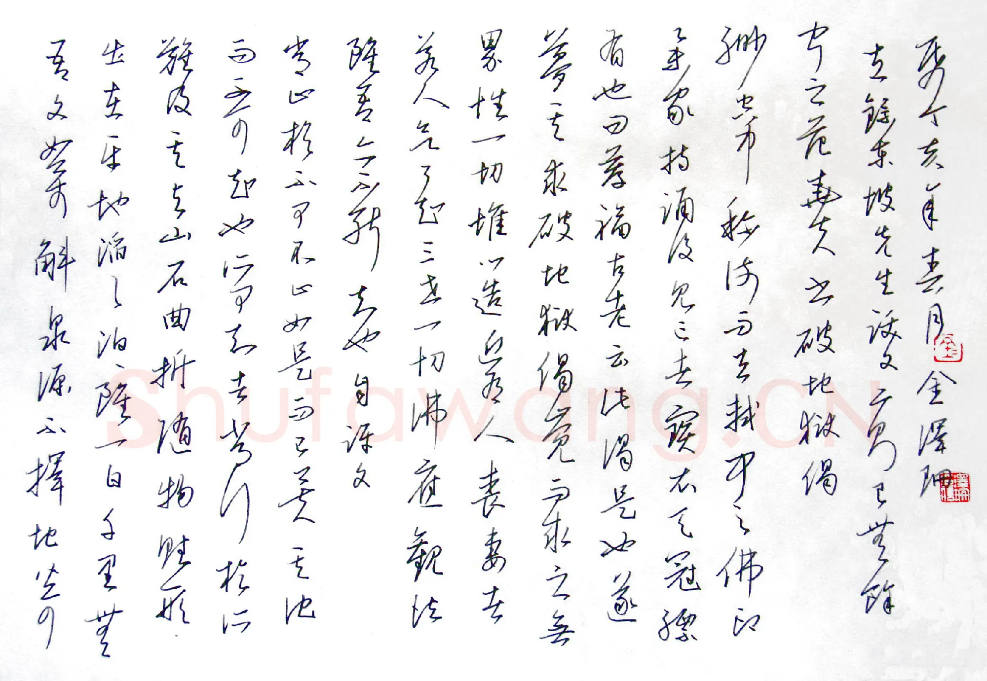 金泽珊硬笔行草东坡跋文二则,金泽珊硬笔书法作品