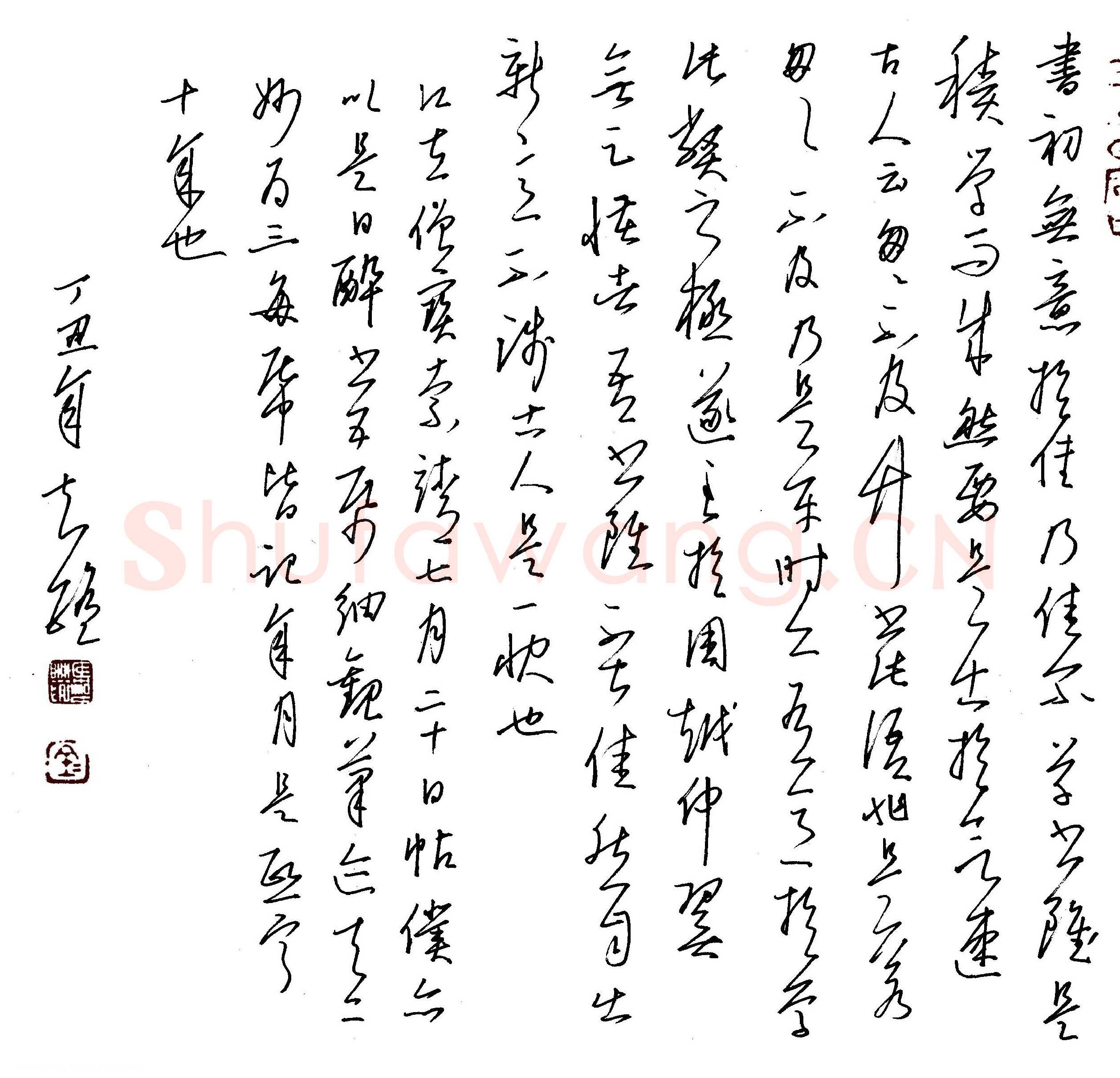 金泽珊硬笔行草苏轼评草书,金泽珊硬笔书法作品