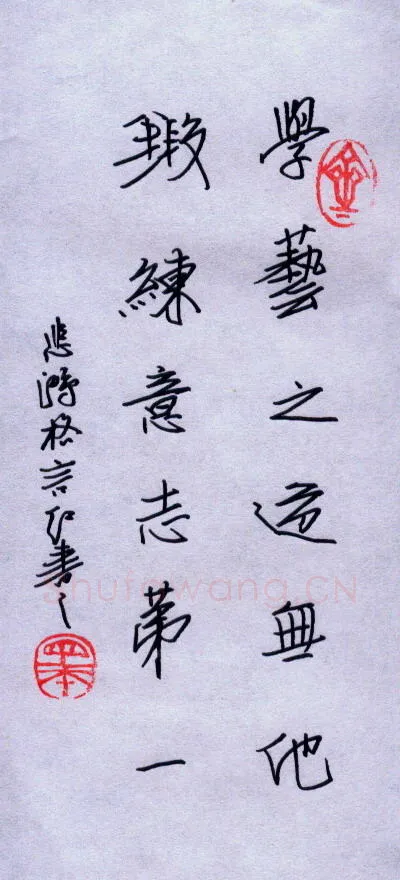 任定红硬笔行书人生格言,任定红硬笔书法作品