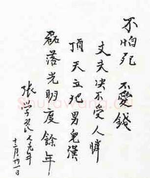 张学良手迹,张学良硬笔书法作品