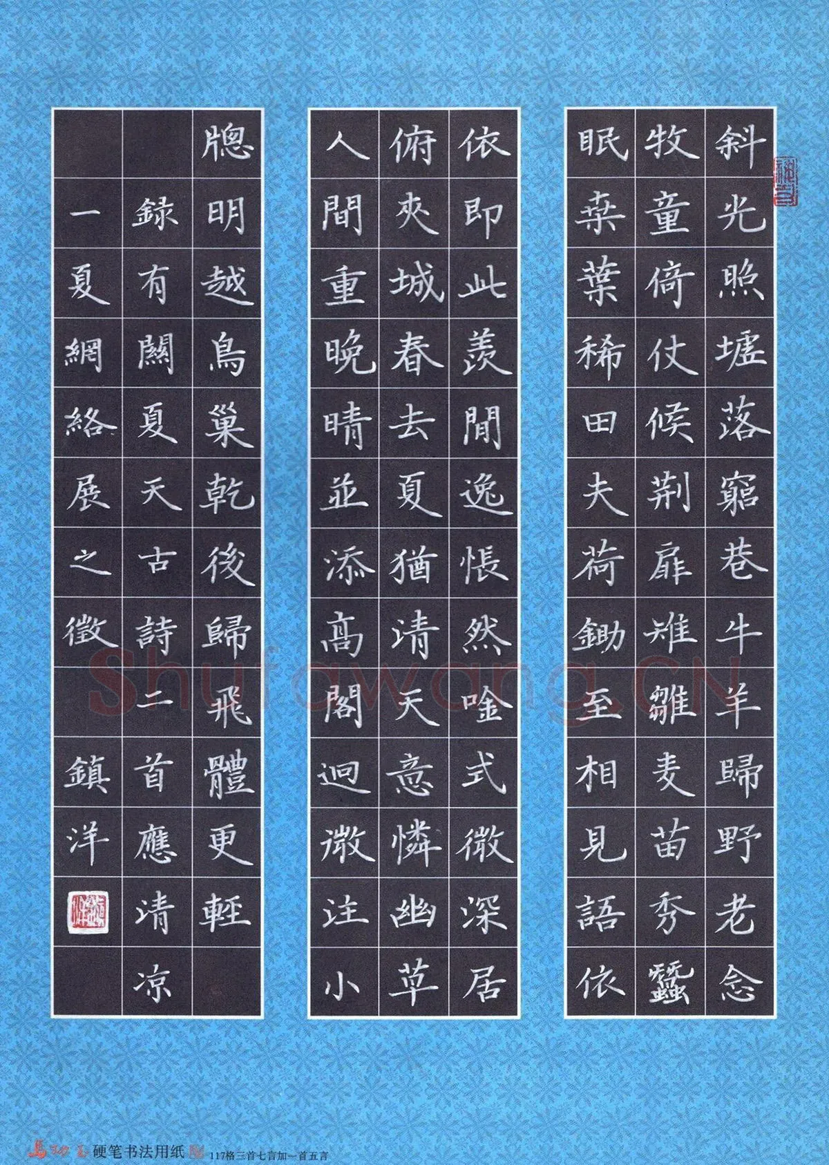 黄镇洋硬笔楷书录有关夏天古诗二首,黄镇洋硬笔书法作品