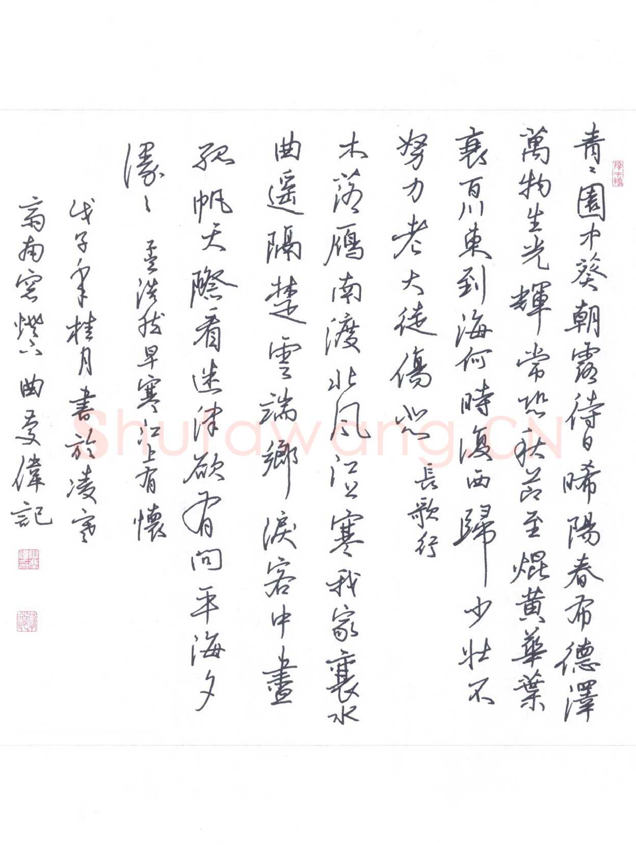 曲庆伟硬笔行书古诗二首,曲庆伟硬笔书法作品