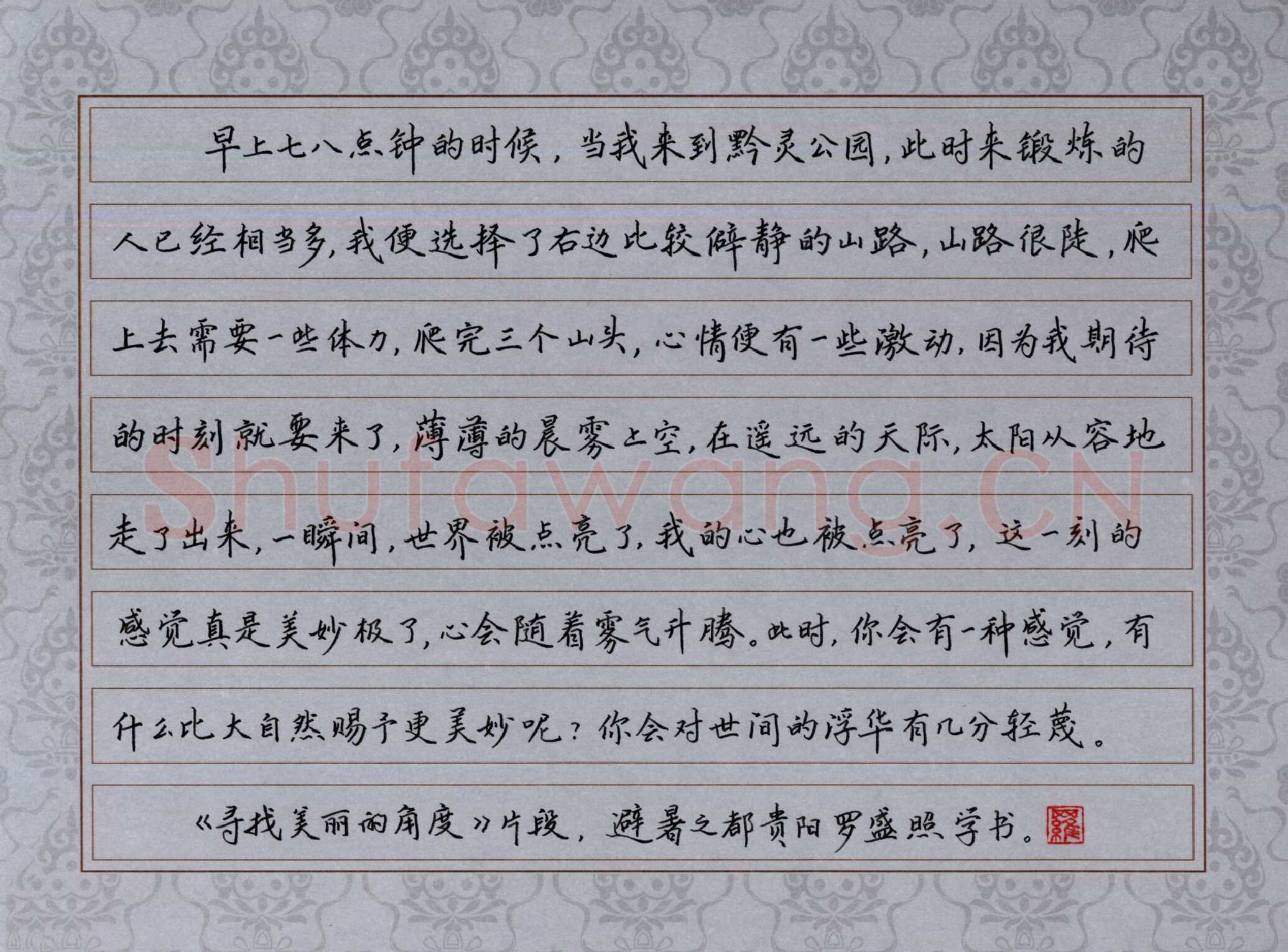 罗盛照硬笔楷书寻找美丽的角度,罗盛照硬笔书法作品