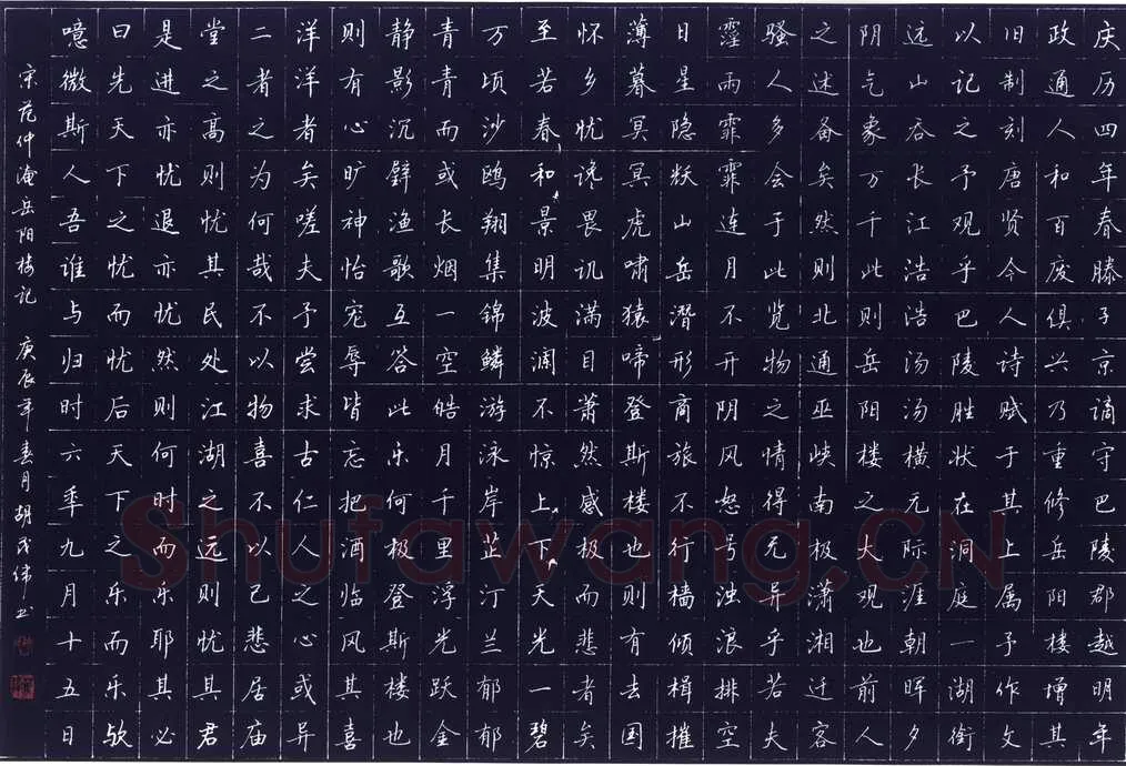 胡茂伟钢笔楷书范仲淹岳阳楼记,胡茂伟硬笔书法作品