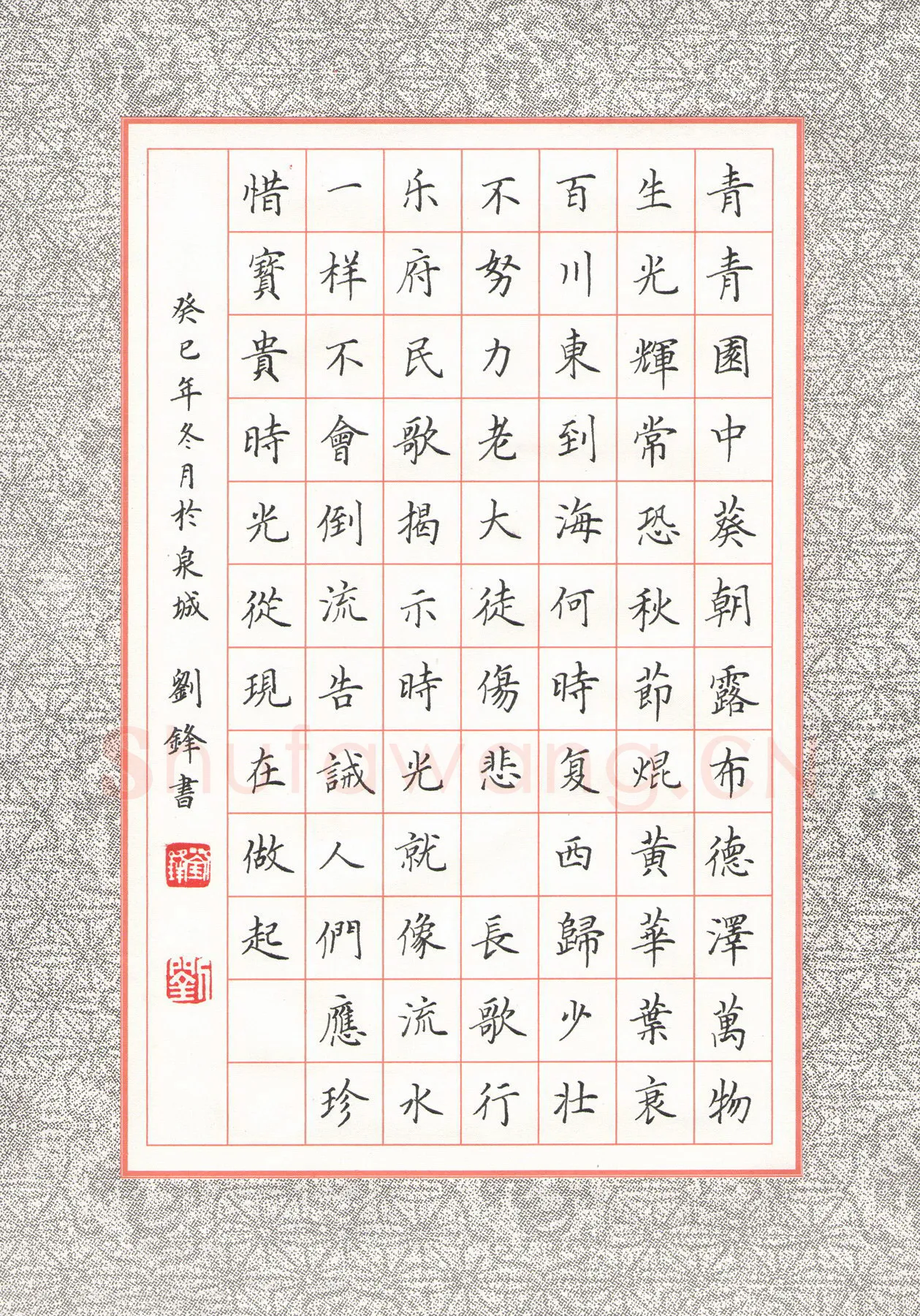 刘锋硬笔楷书汉乐府长歌行,刘锋硬笔书法作品