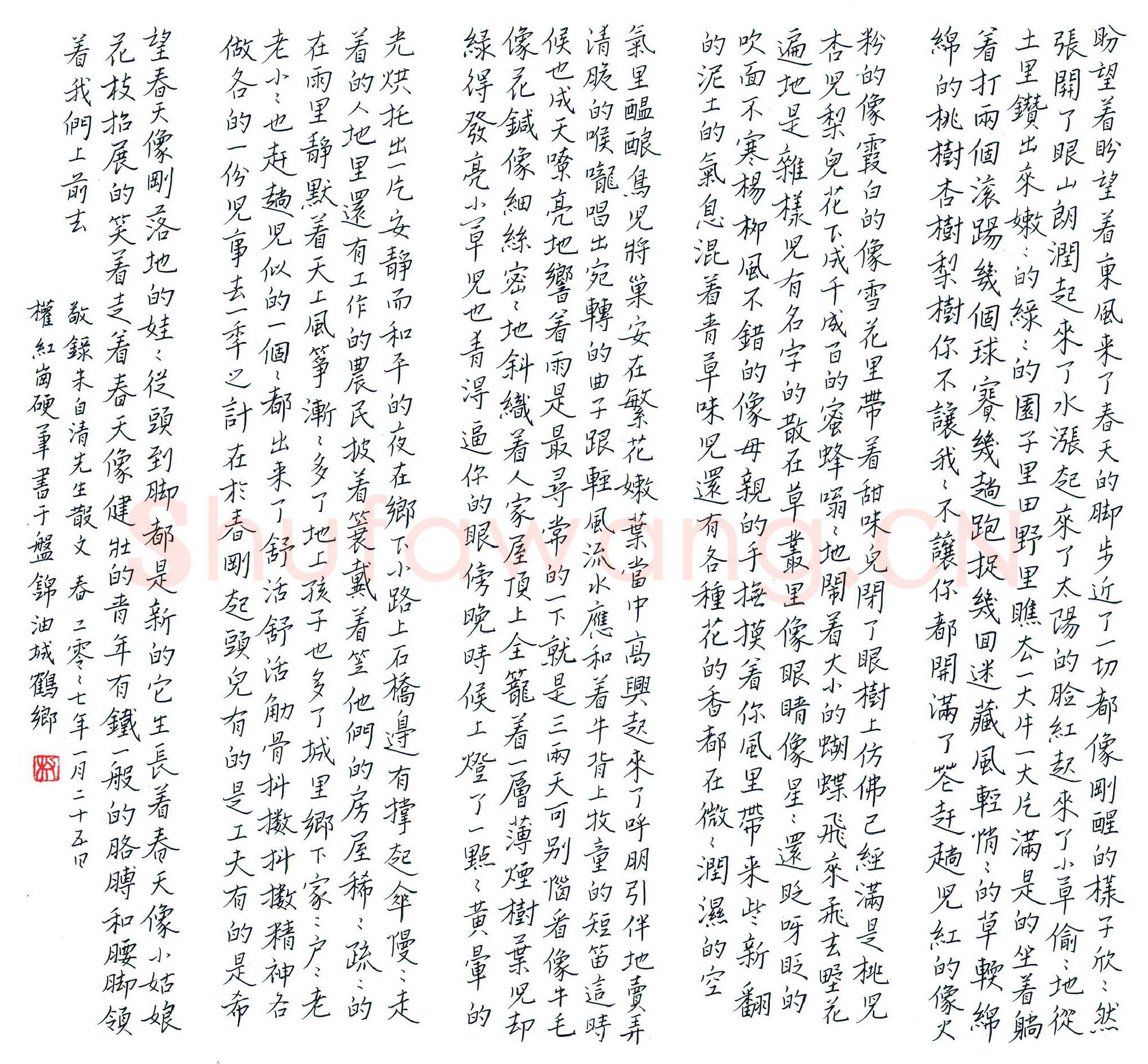 权红岗硬笔楷书朱自清散文春,硬笔书法作品