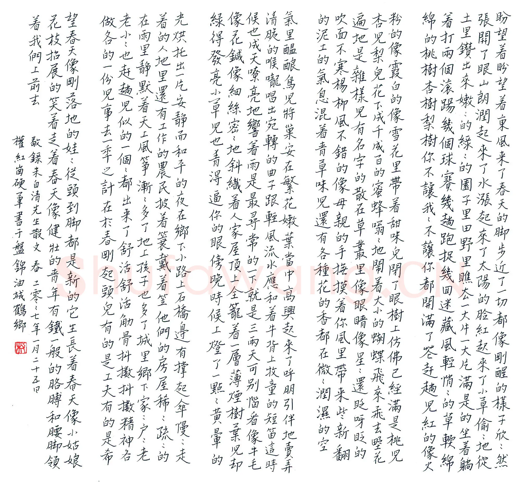 权红岗硬笔楷书朱自清散文春,硬笔书法作品