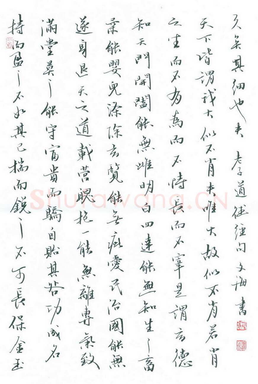张文海[行书老子道德经句],硬笔书法作品