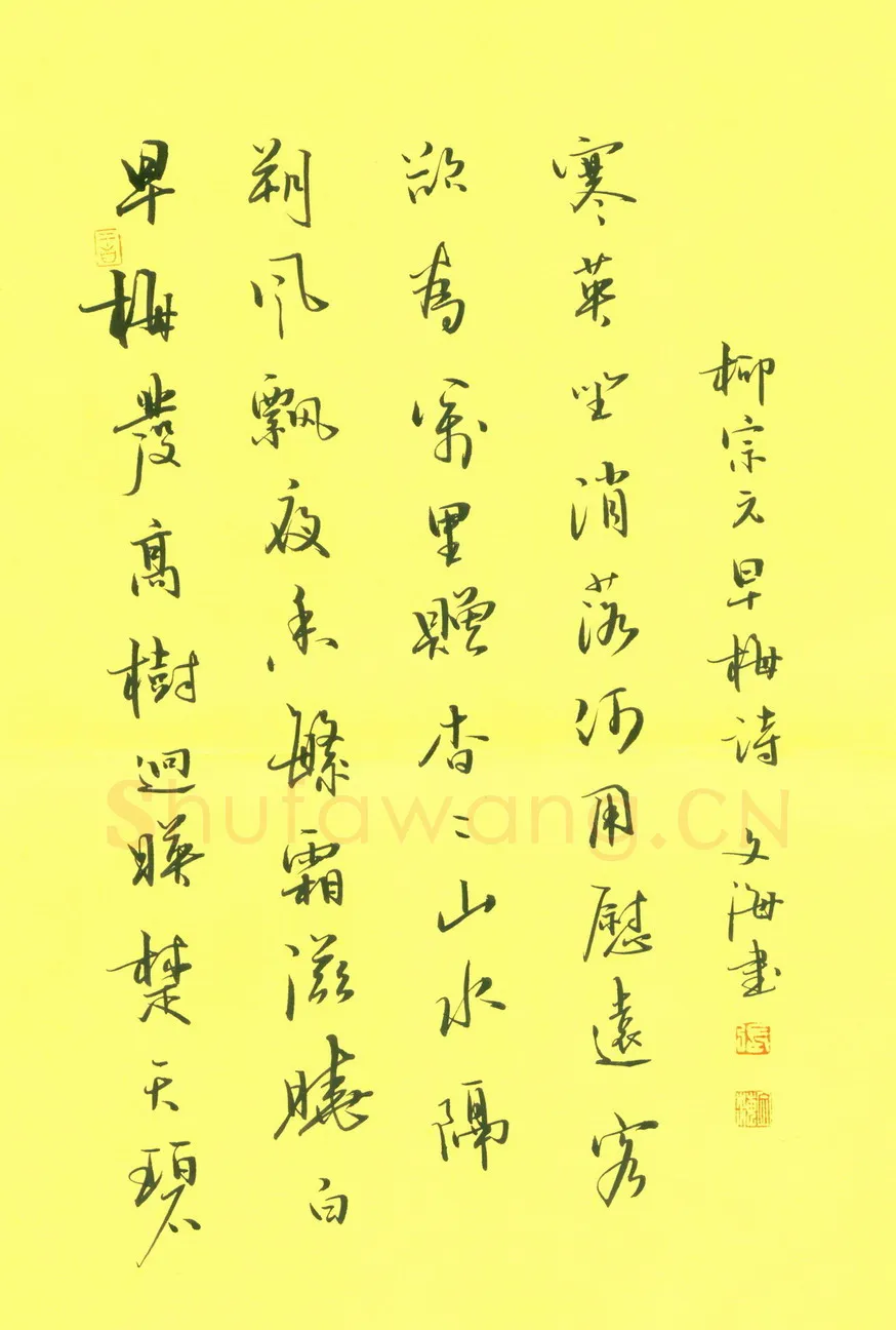 张文海[行书柳宗元早梅诗],硬笔书法作品