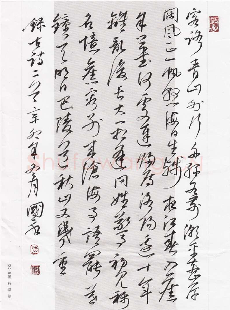 张国永硬笔行草古诗二首,张国永硬笔书法作品