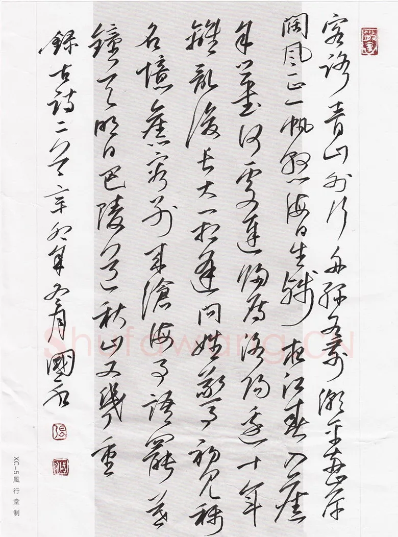 张国永硬笔行草古诗二首,张国永硬笔书法作品