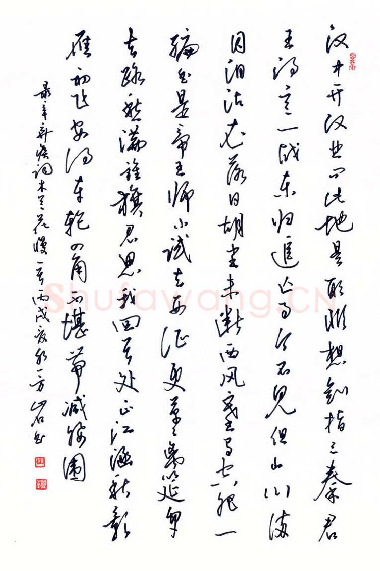 蒋亚军硬笔行草辛弃疾词木兰花慢,蒋亚军硬笔书法作品
