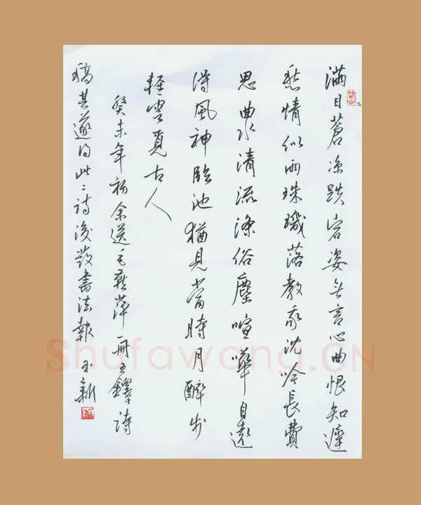 齐玉新硬笔行草毛燕萍诗二首,齐玉新硬笔书法作品