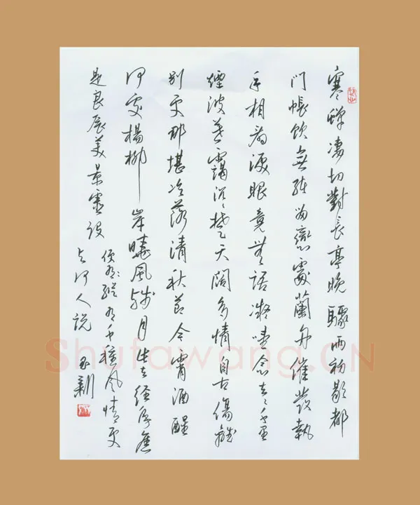 齐玉新硬笔行草柳永词,齐玉新硬笔书法作品