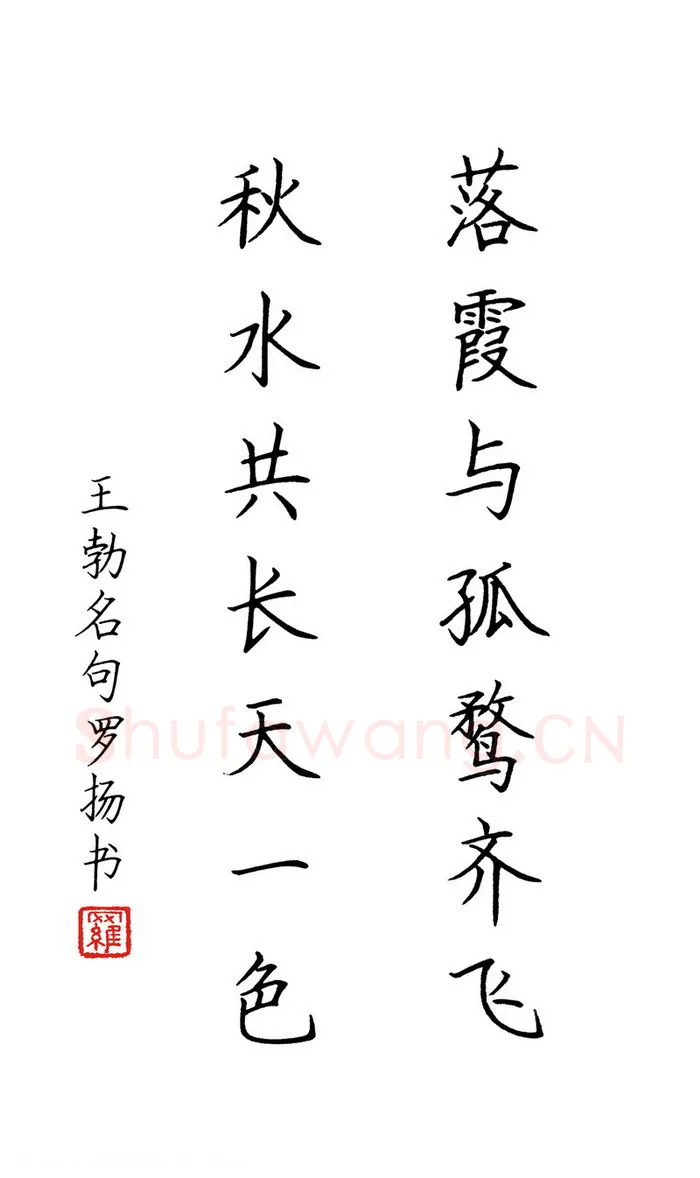 罗扬硬笔楷书王勃名句,罗扬硬笔书法作品