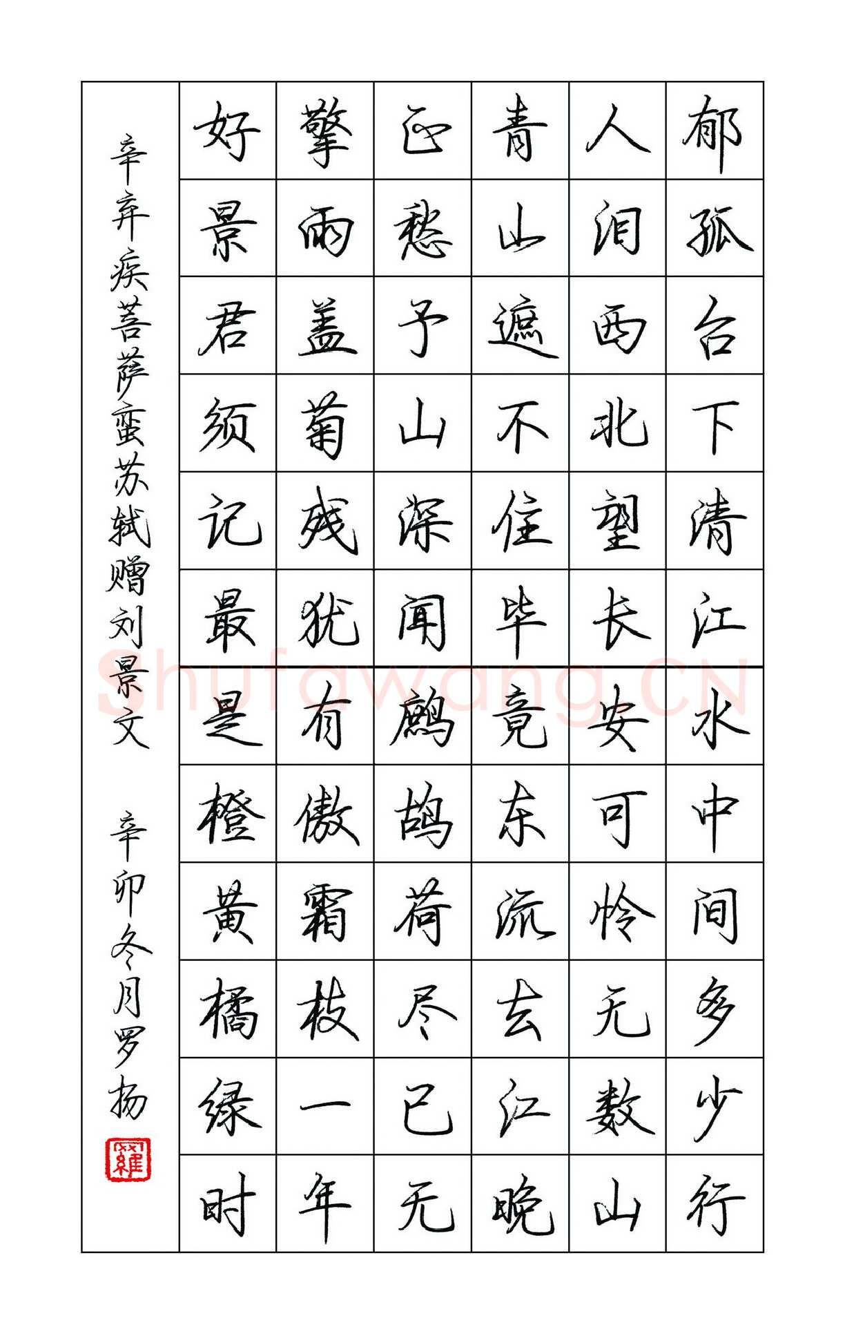 罗扬硬笔行书辛弃疾苏轼词,罗扬硬笔书法作品