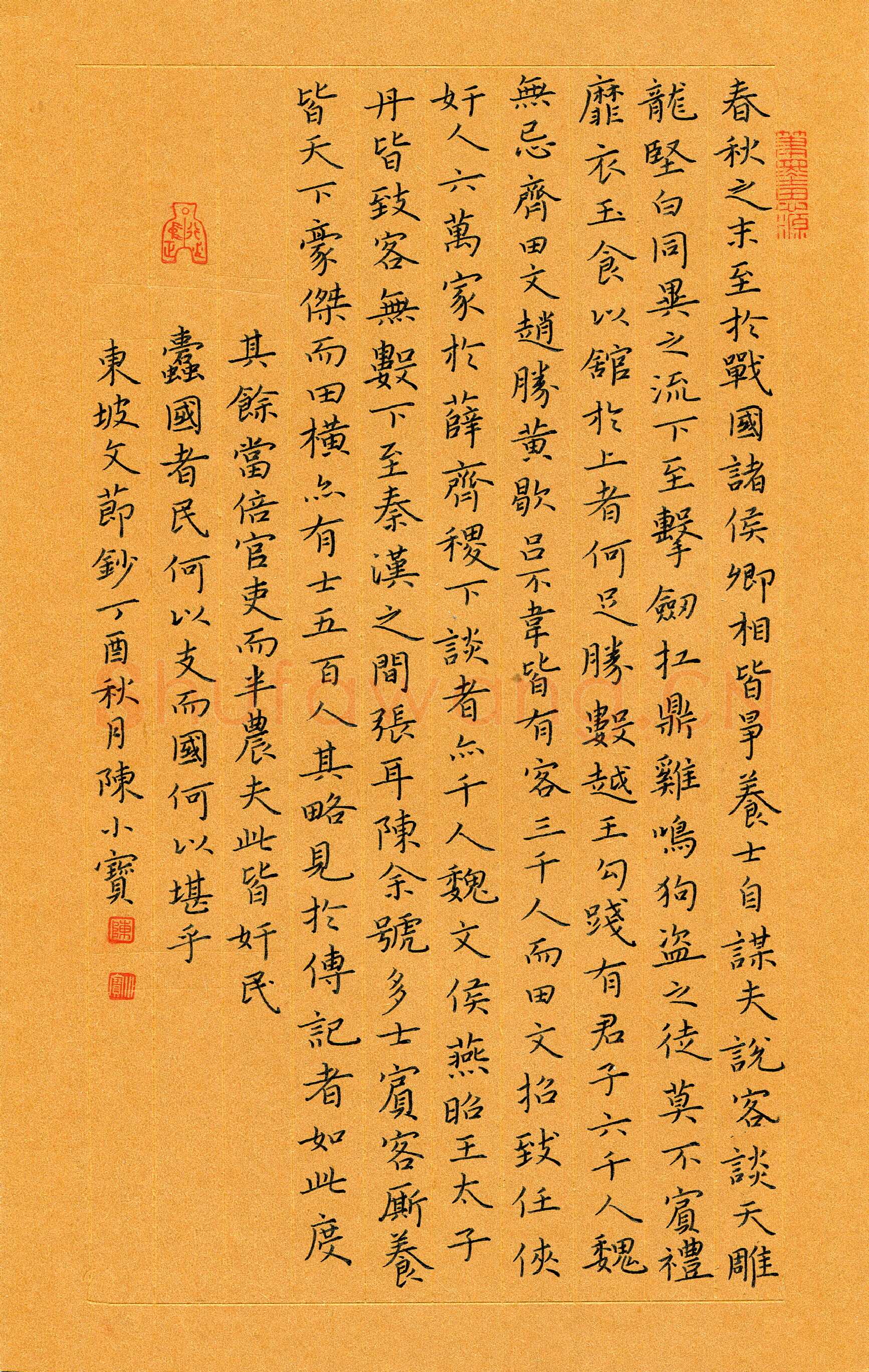 陈小宝硬笔楷书东坡文节抄,陈小宝硬笔书法作品