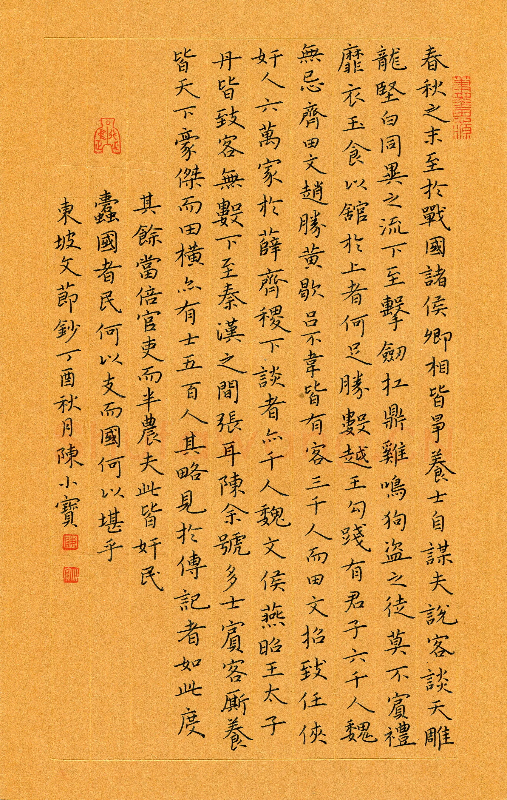 陈小宝硬笔楷书东坡文节抄,陈小宝硬笔书法作品
