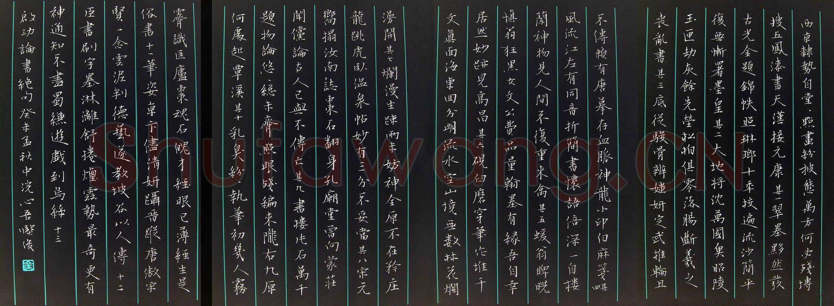 金熙俊硬笔楷书启功论书绝句,金熙俊硬笔书法作品
