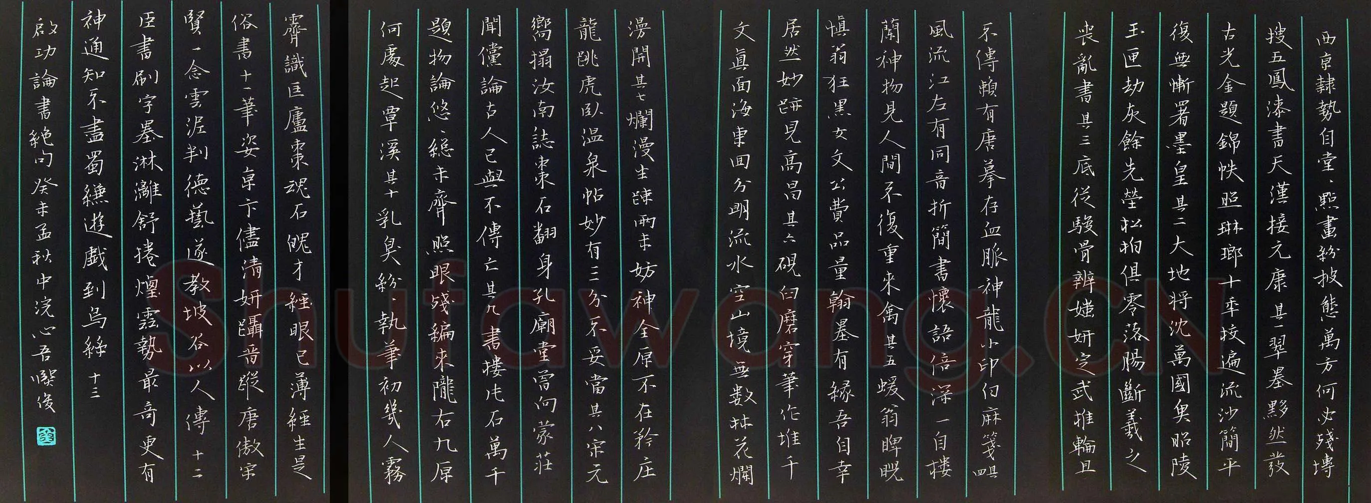 金熙俊硬笔楷书启功论书绝句,金熙俊硬笔书法作品