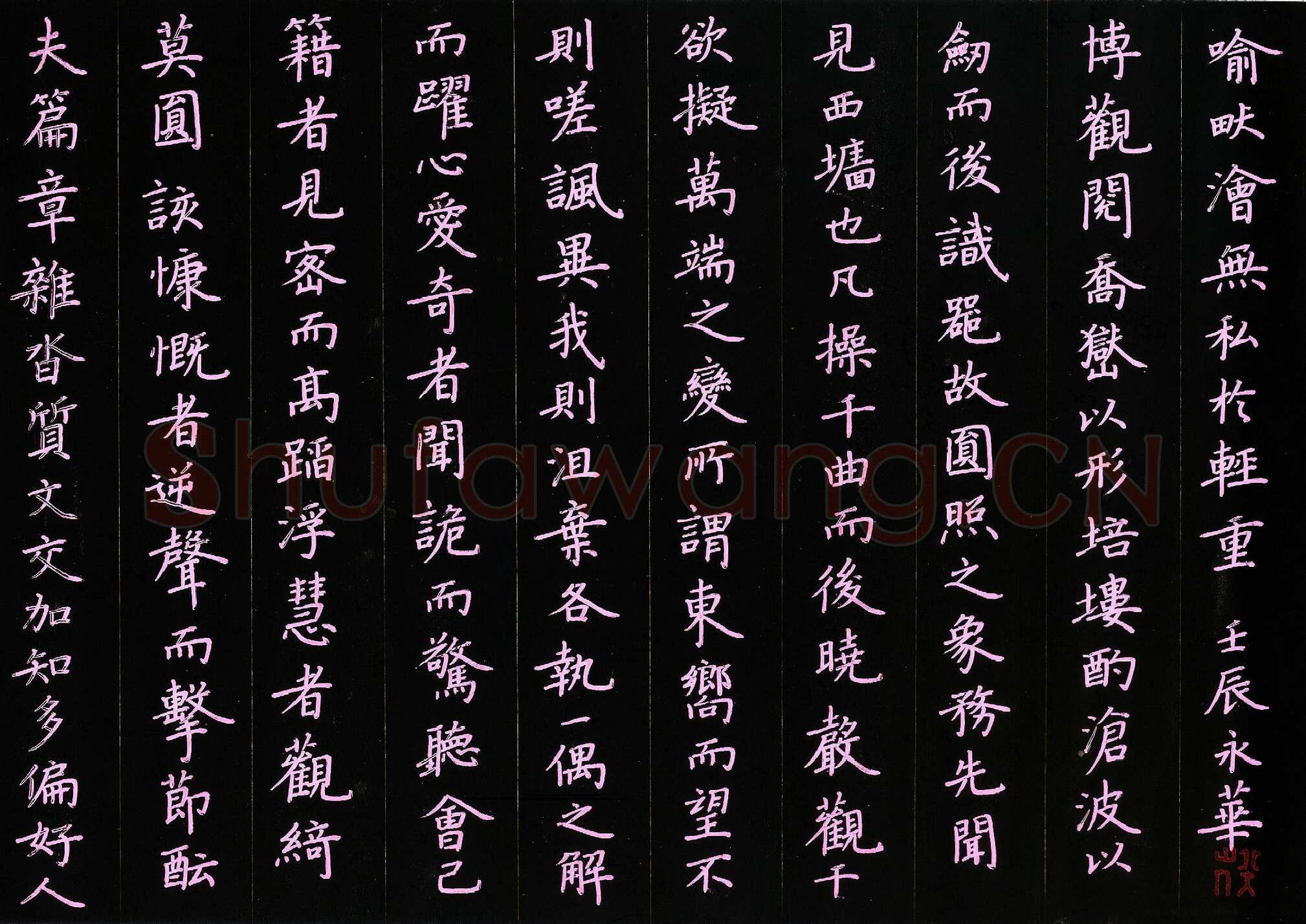 何永华硬笔楷书文心雕龙节录,何永华硬笔书法作品