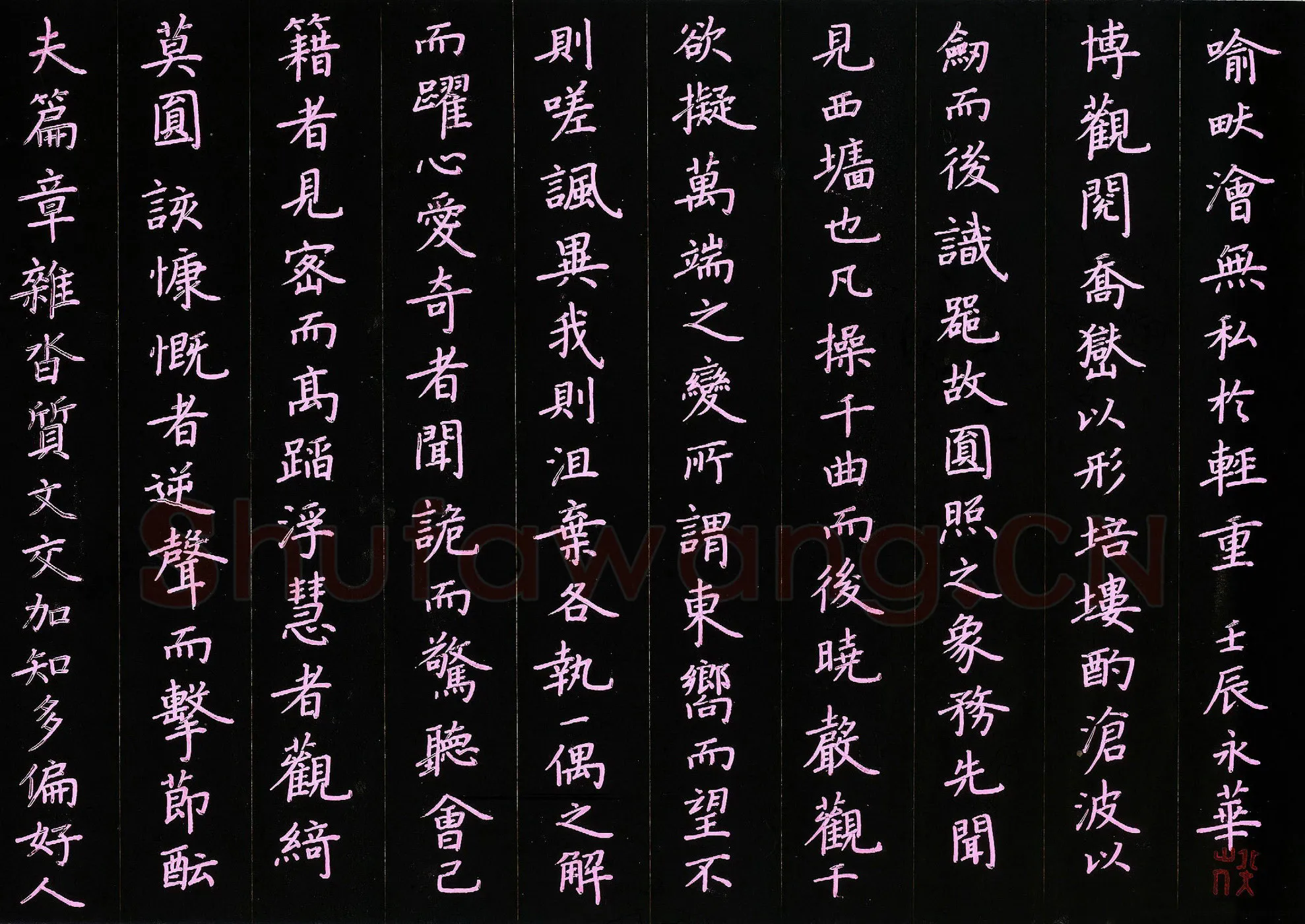 何永华硬笔楷书文心雕龙节录,何永华硬笔书法作品