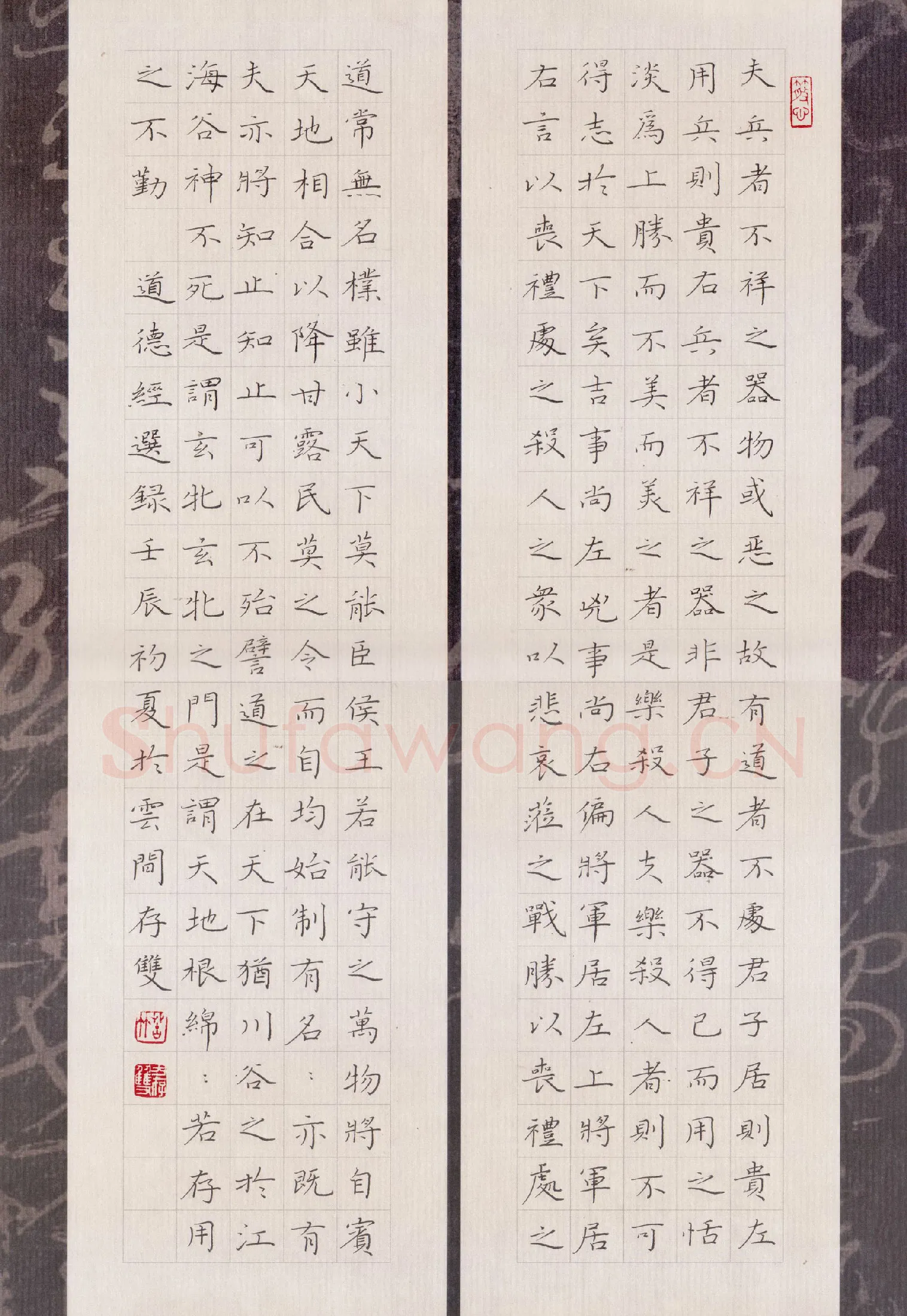 方存双硬笔楷书道德经选录,方存双硬笔书法作品