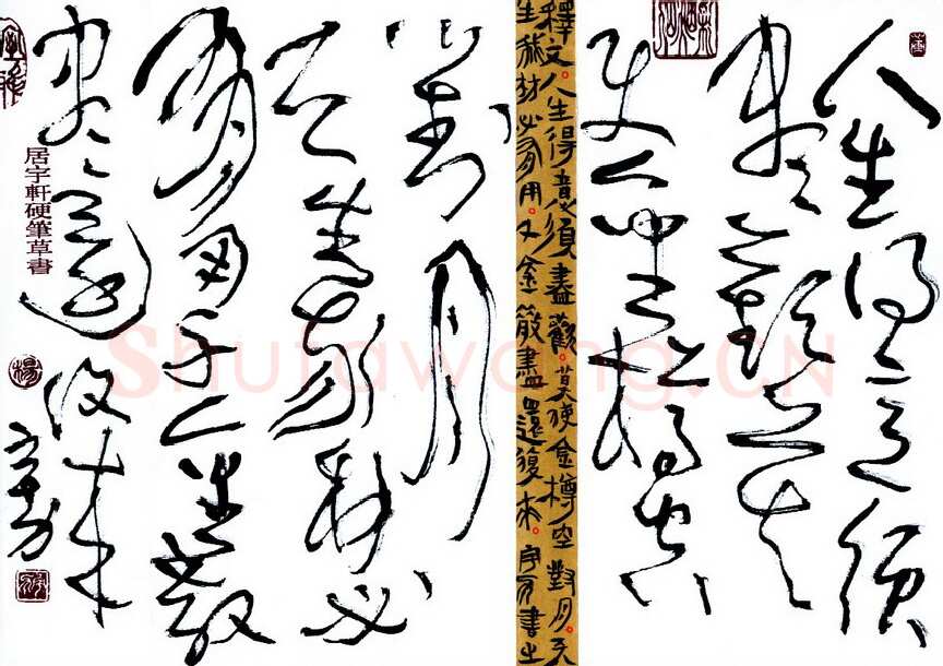 杨宇力硬笔草书李白将进酒诗句,杨宇力硬笔书法作品