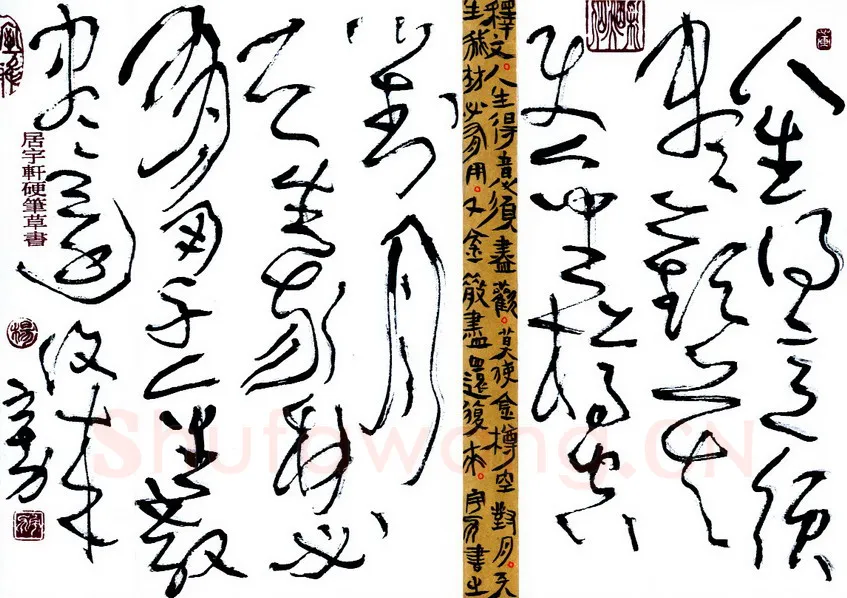 杨宇力硬笔草书李白将进酒诗句,杨宇力硬笔书法作品