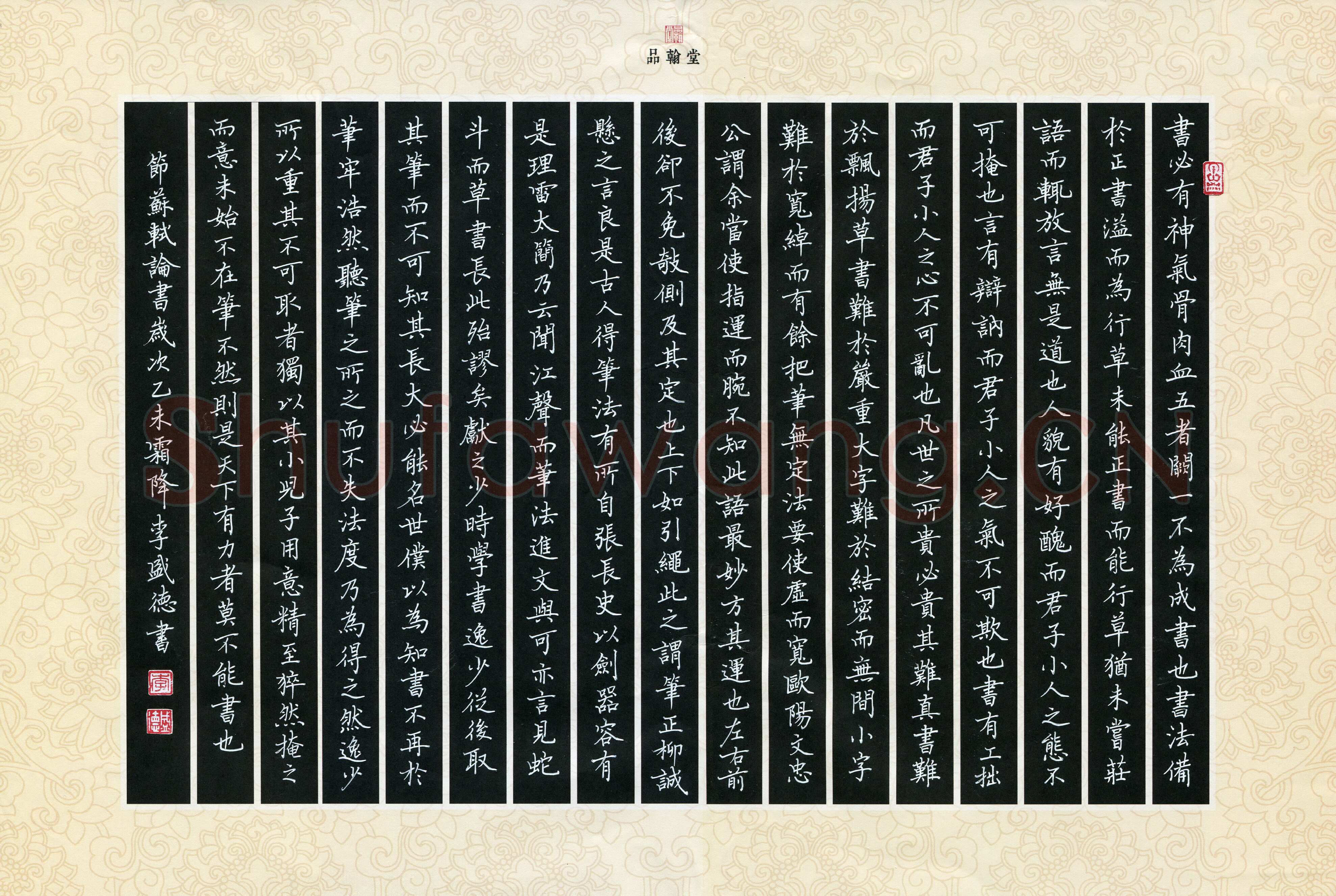 李盛德硬笔楷书节录苏轼论书,李盛德硬笔书法作品