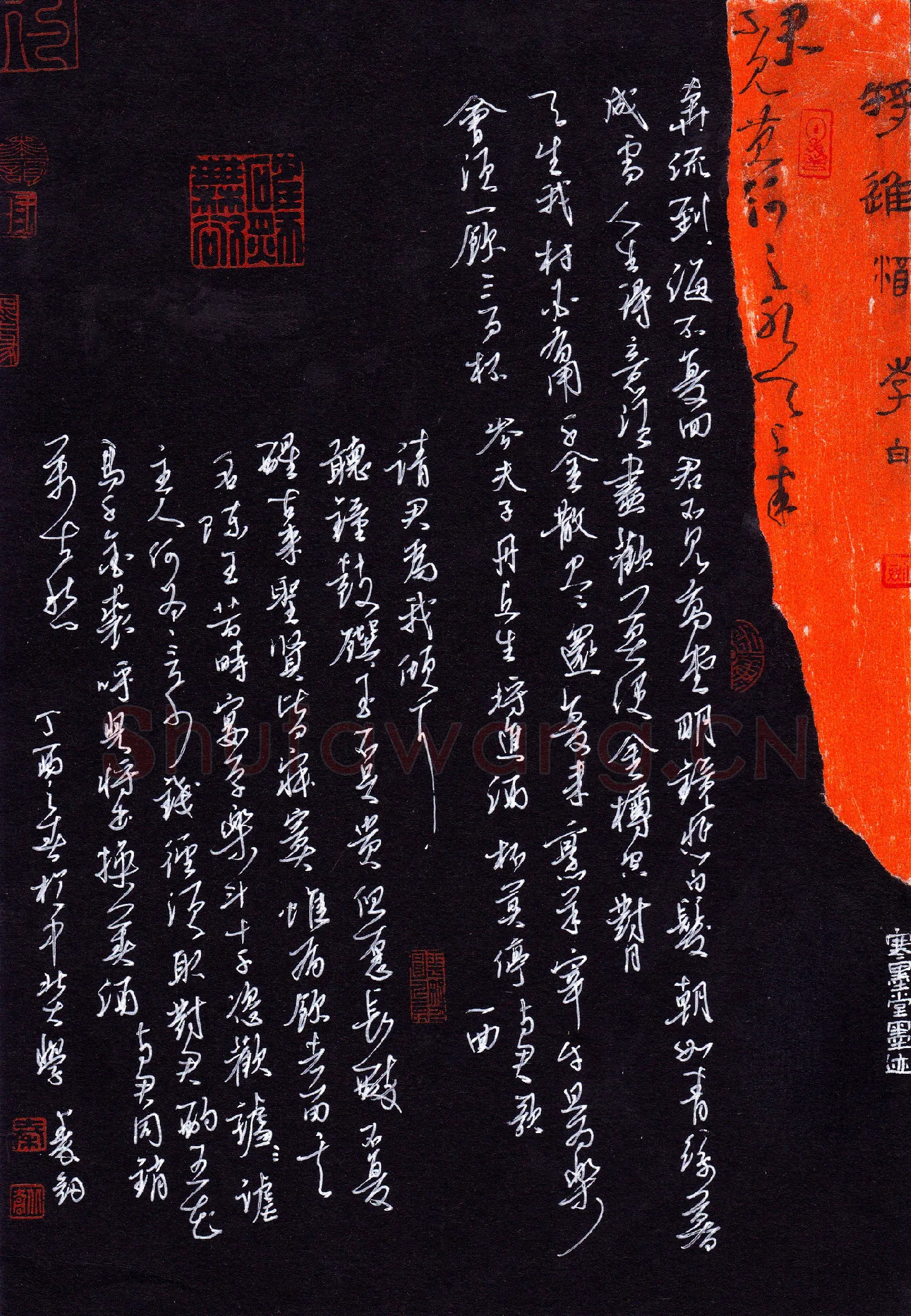 秦剑硬笔草书李白诗将进酒,秦剑硬笔书法作品