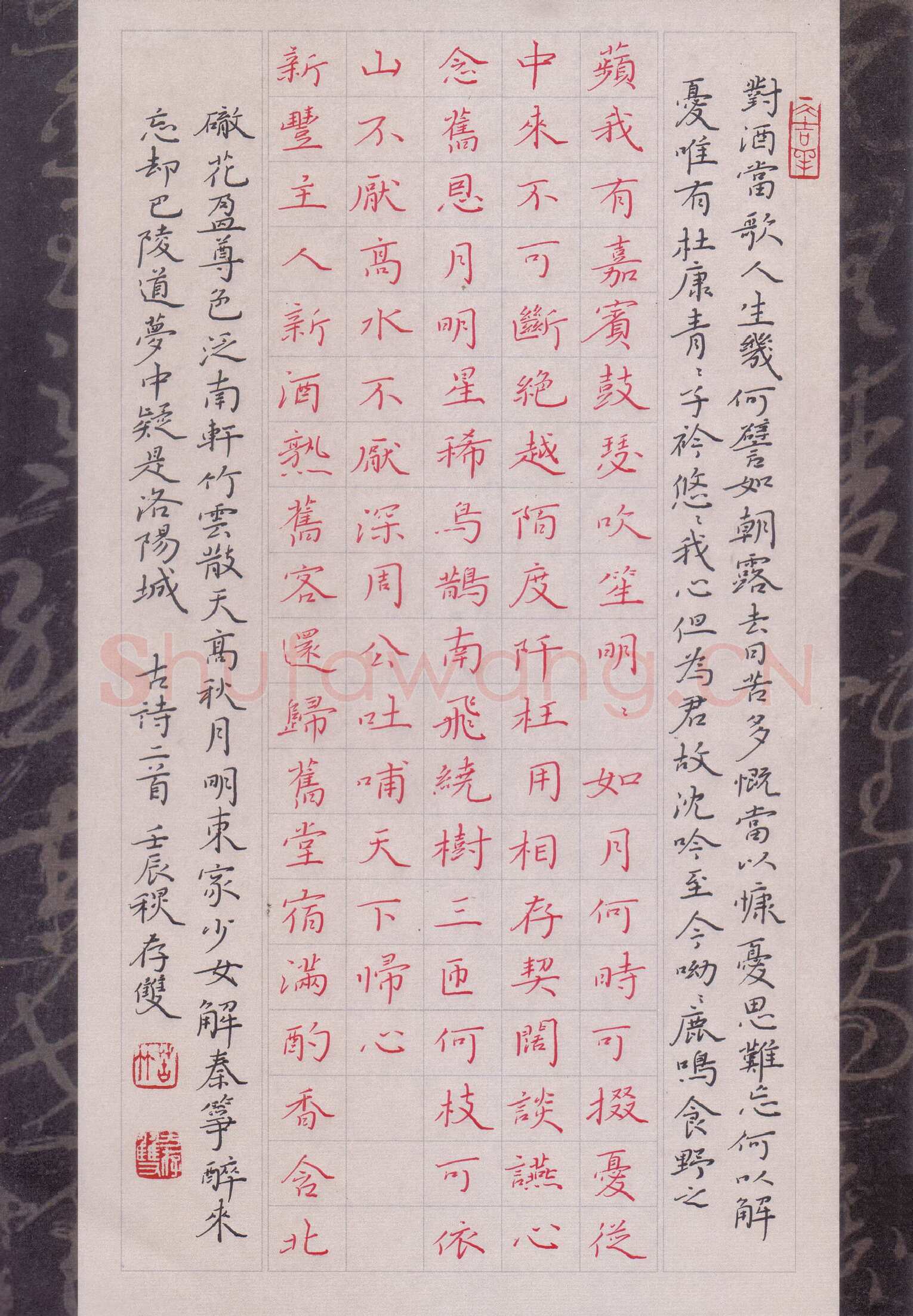 方存双硬笔楷书古诗二首,方存双硬笔书法作品