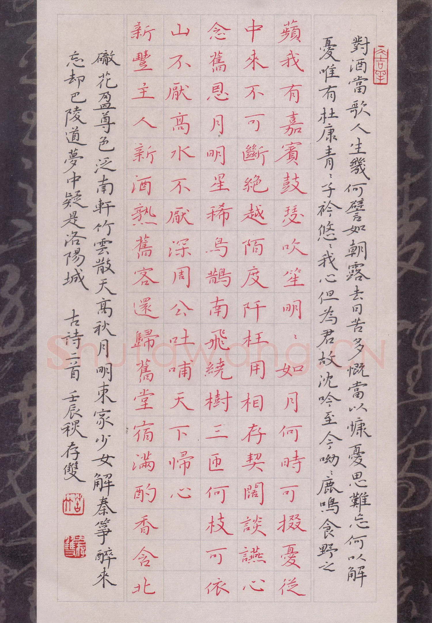 方存双硬笔楷书古诗二首,方存双硬笔书法作品