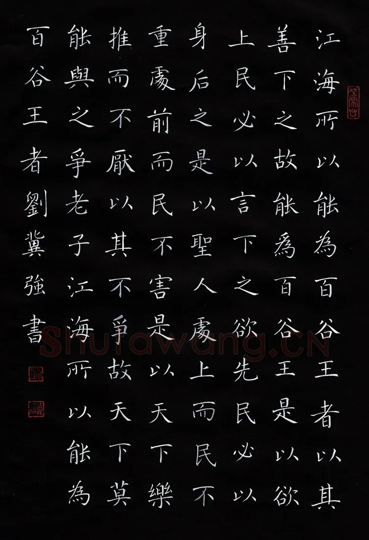 刘冀强硬笔楷书道德经节录,刘冀强硬笔书法作品