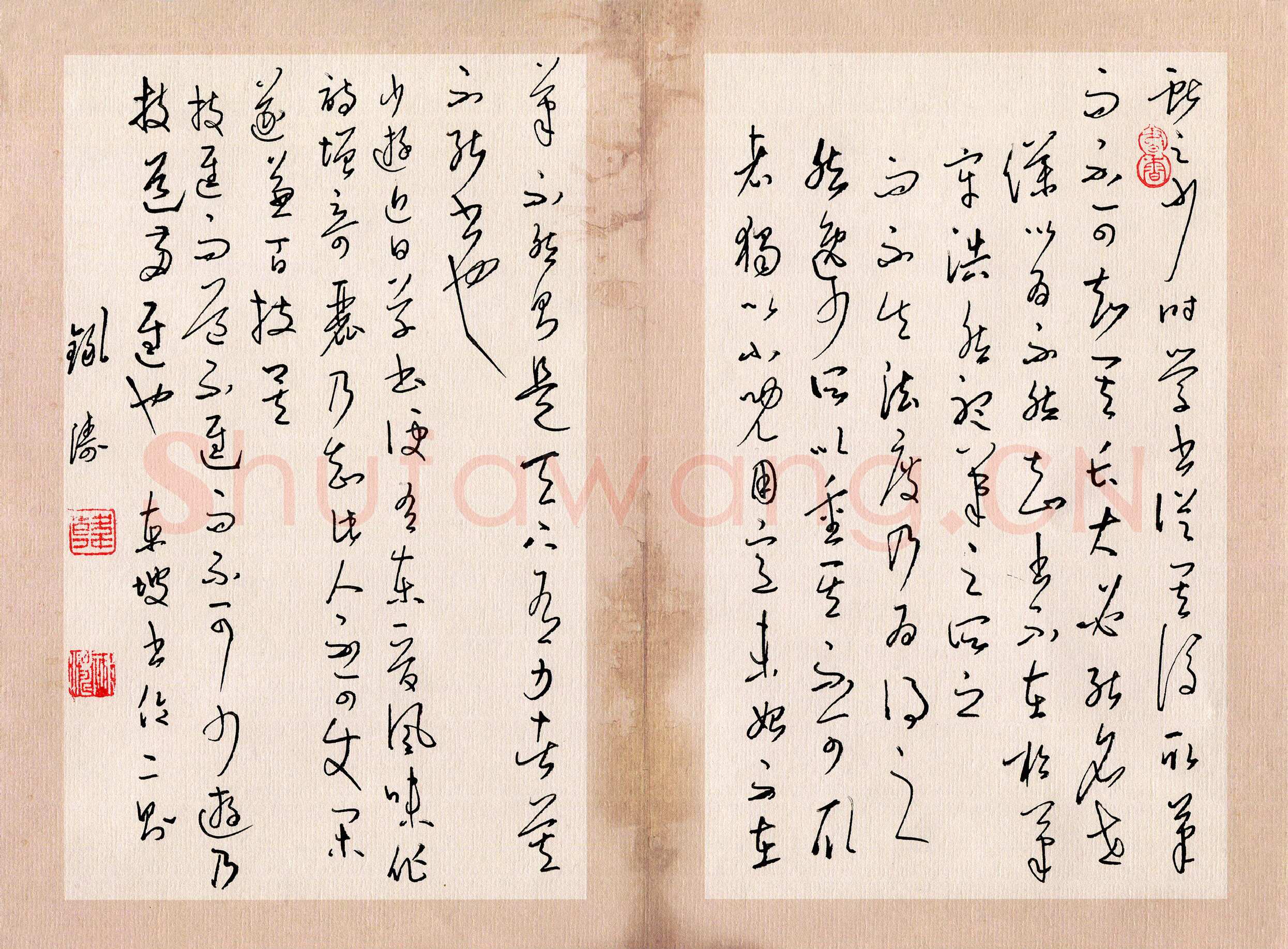 韩录涛硬笔草书东坡书论二则,韩录涛硬笔书法作品