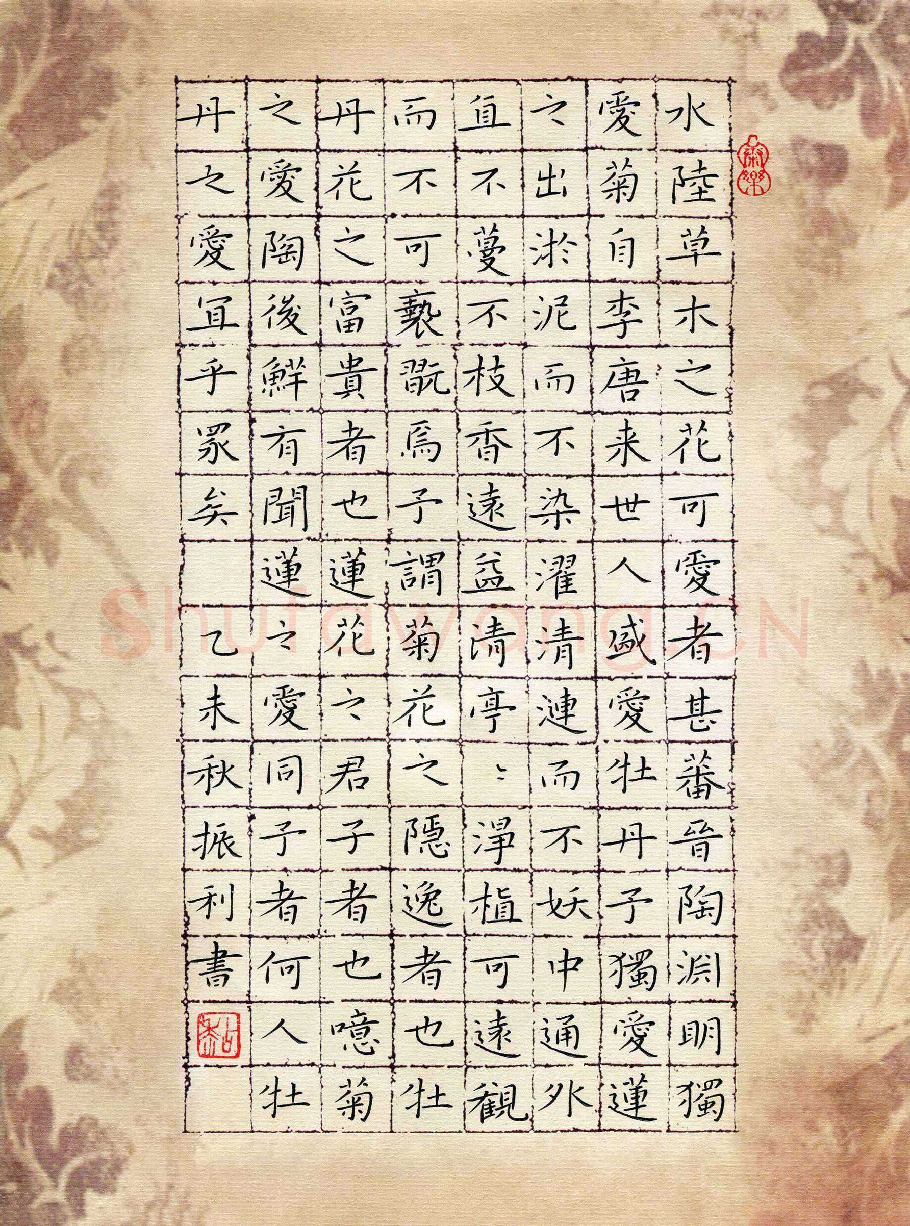 粘振利硬笔楷书爱莲说,粘振利硬笔书法作品
