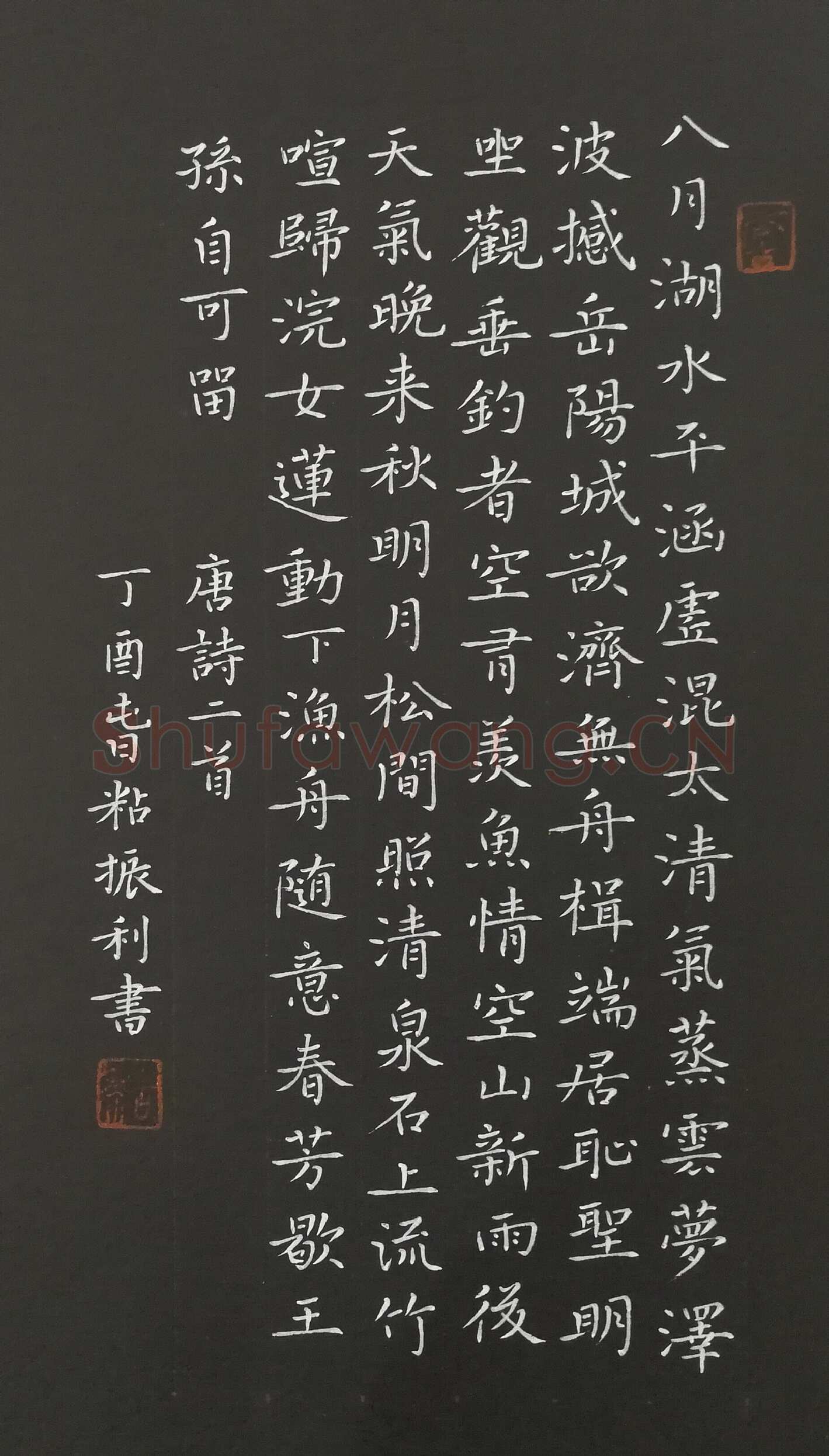 粘振利硬笔楷书唐诗二首,粘振利硬笔书法作品