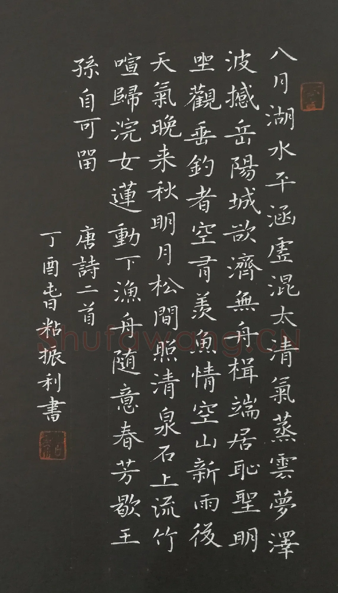 粘振利硬笔楷书唐诗二首,粘振利硬笔书法作品