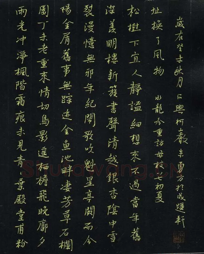 朱勇方硬笔楷书水龙吟,朱勇方硬笔书法作品