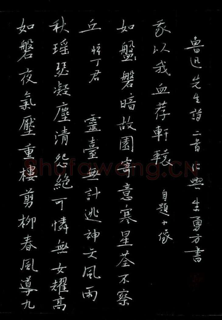 朱勇方硬笔楷书鲁迅诗二首,硬笔书法作品