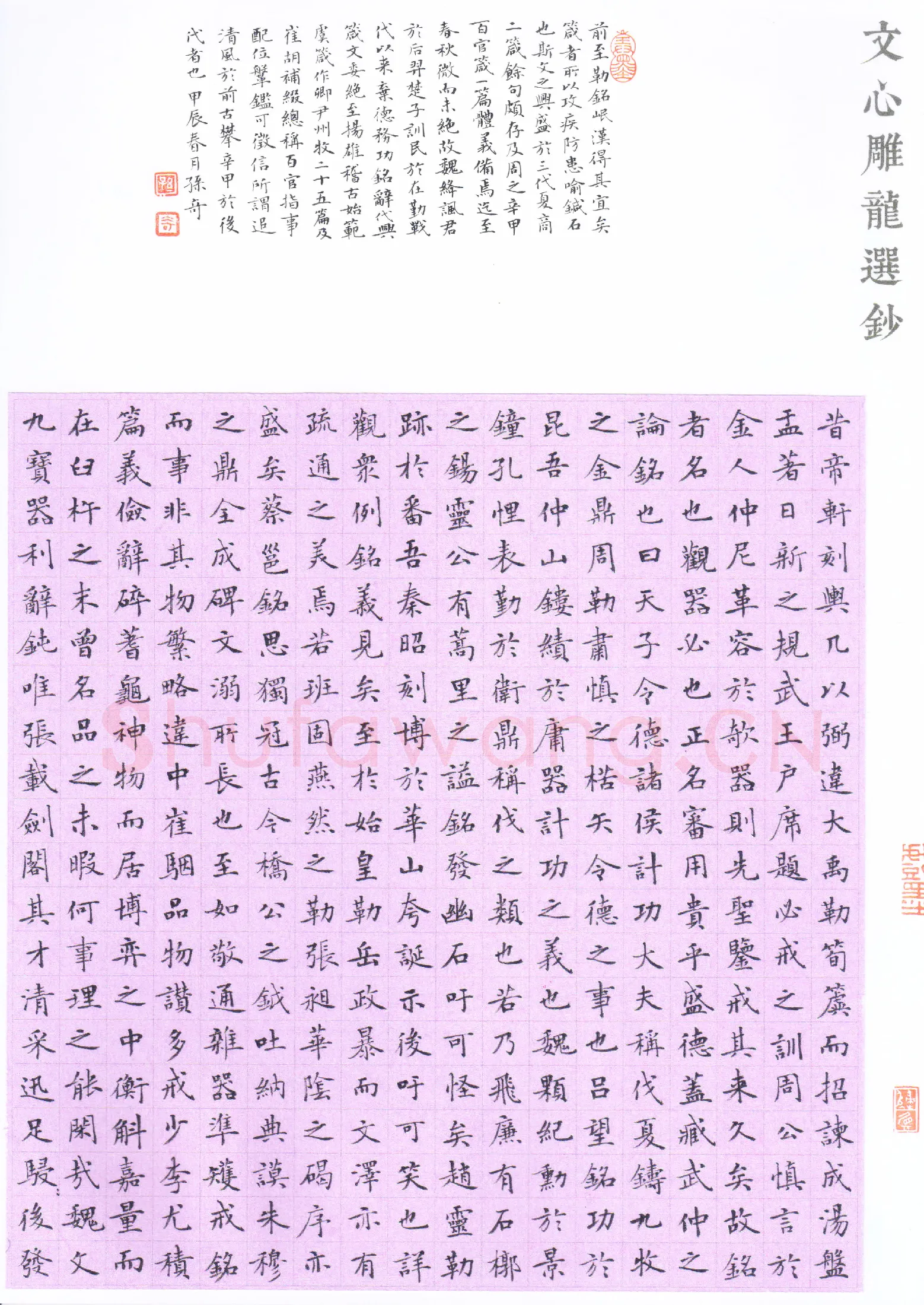 孙奇硬笔楷书文心雕龙选抄,孙奇硬笔书法作品