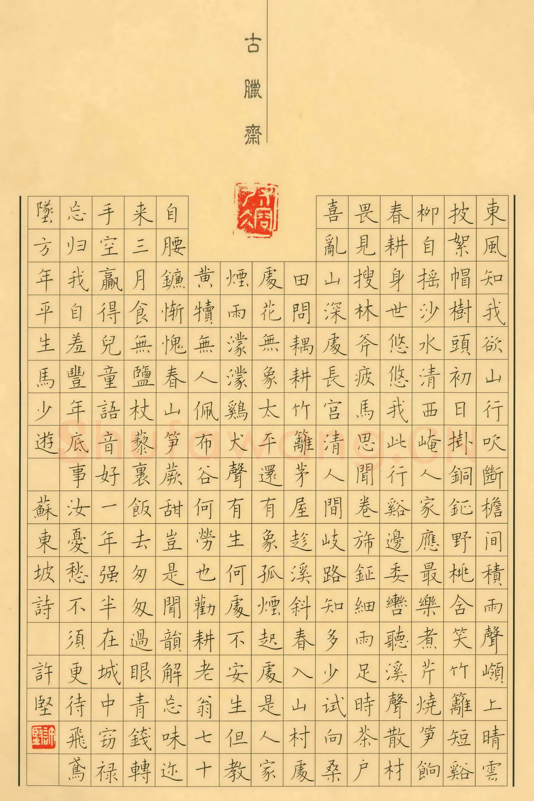 许坚硬笔楷书苏东坡词,许坚硬笔书法作品