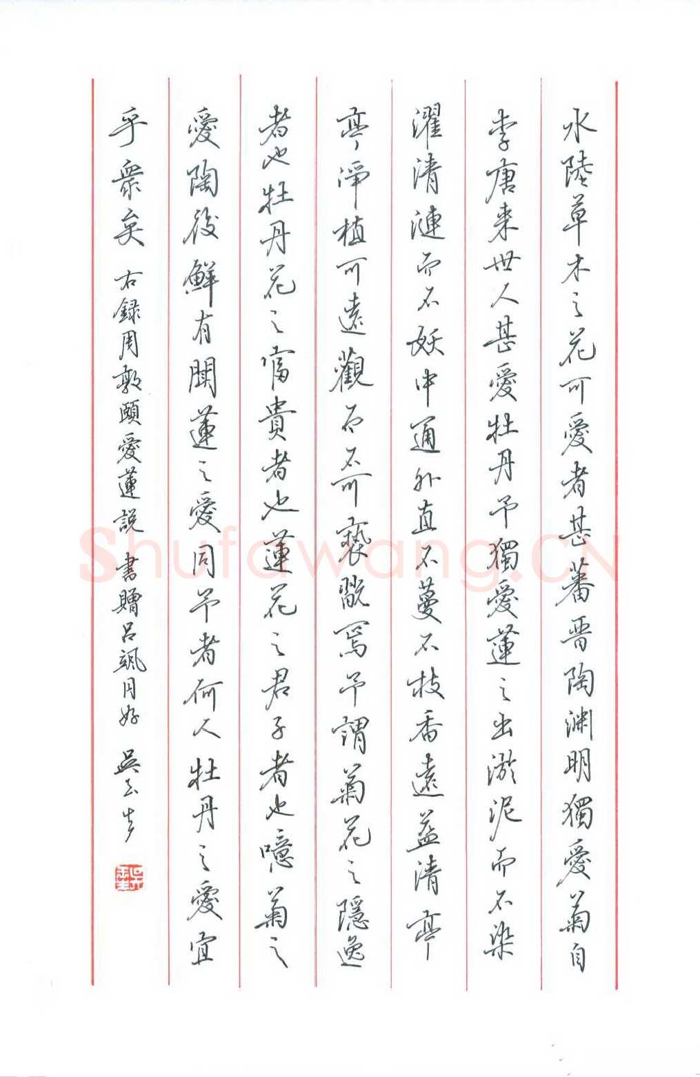 吴玉生硬笔行书周敦颐爱莲说,吴玉生硬笔书法作品