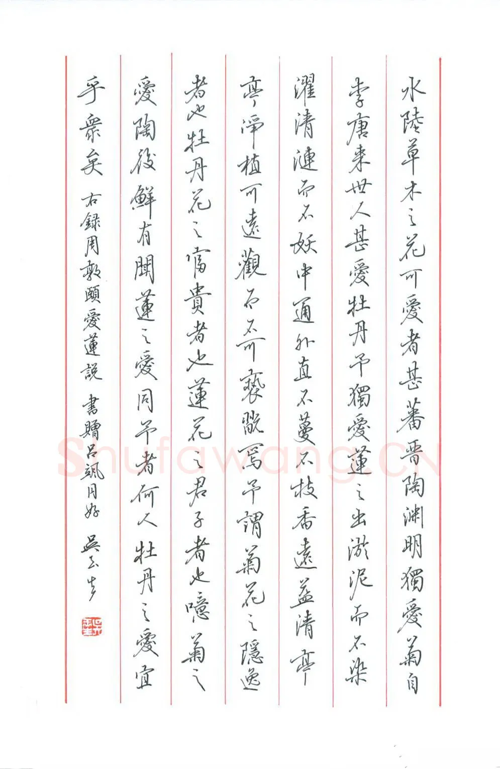 吴玉生硬笔行书周敦颐爱莲说,吴玉生硬笔书法作品
