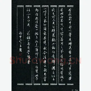 唐玉庆 硬笔行书 节录春在堂随笔