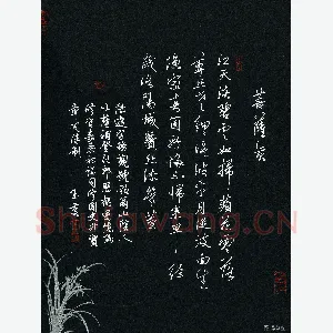 唐玉庆 硬笔行书 陆游词菩萨蛮一首